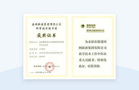 2024年度国网新源科学技术进步奖-三等奖